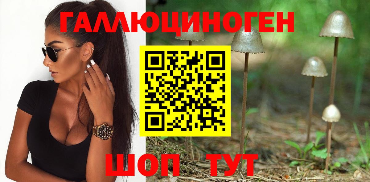 Галлюциногенные грибы Magic Shrooms  Вход с VPN  Галлюциногенные грибы GOLDEN TEACHER  Волхов 