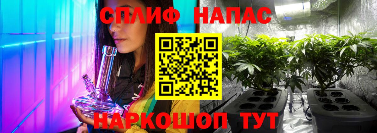 Каннабис индика Волхов